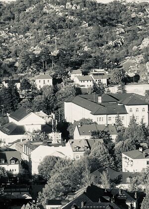 Звуковая прогулка. Цетине