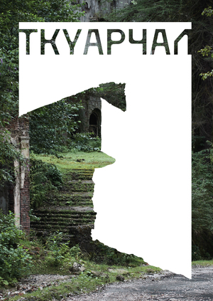 брендинг города Ткуарчал