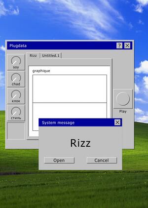 rizz