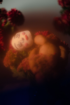 Вечная весна 