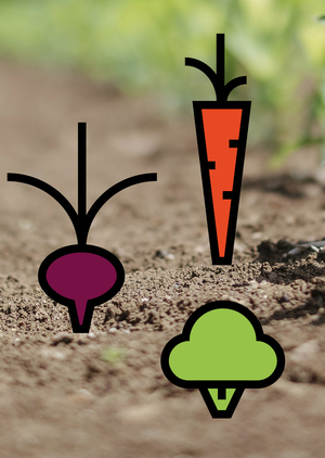 FORKS OVER KNIVES вегетарианский бренд