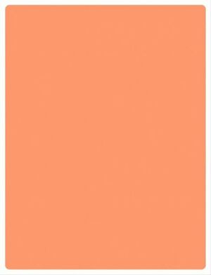 Проект по Прикладном применению генеративных нейросетей.