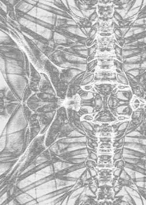 Платки для Rock N' Bones
