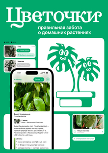Цветочки