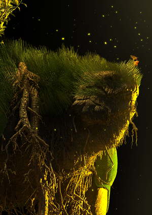 Grooming: Forest beast