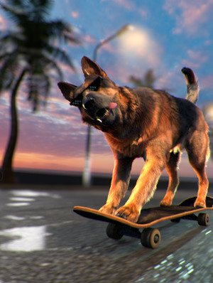 German Shepherd Grooming