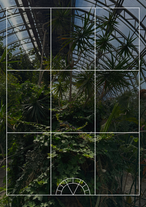 Ребрендинг Оранжереи Таврического сада