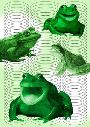 лягушачий оперный театр «квария»