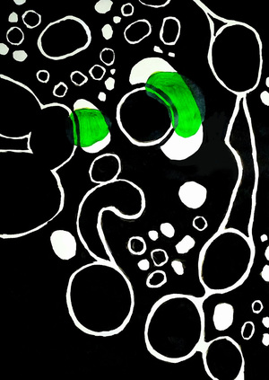 Анаграмма жизни