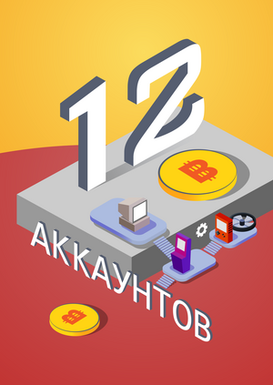 12 аккаунтов
