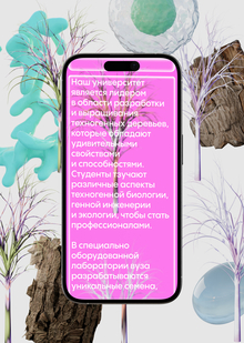 Сайт «DUBUNI»