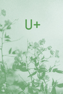 бренд уходовой косметики U+ бренд уходовой косметики U+