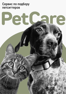 Pet care&nbsp;— сервис по&nbsp;подбору петситтера