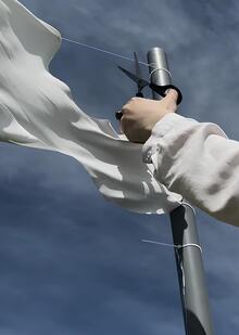 Creation — Back to Life