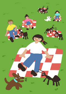 Picnic567 Picnic567