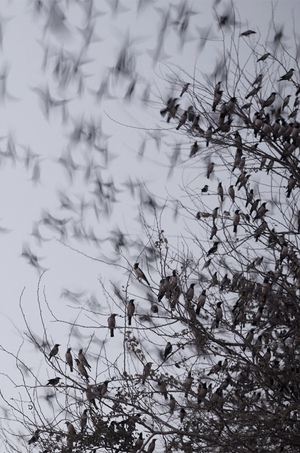 социокультурный проект "Касаюсь, значит, знаю"