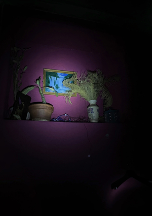 Подготовка. Процесс. Наблюдение.