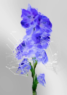 Видеомэппинг «Techno Flowers»