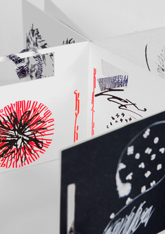 Каллиграфическая книга Шиншилла