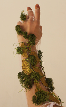 Treealike