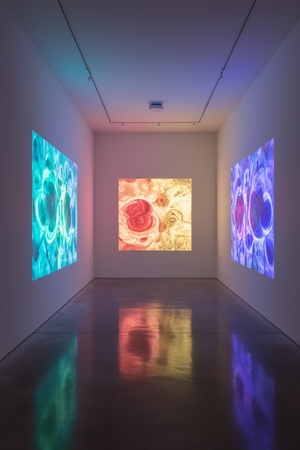 Видео для тех, кто интересуется современным искусством.