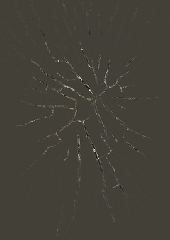 Световые пути