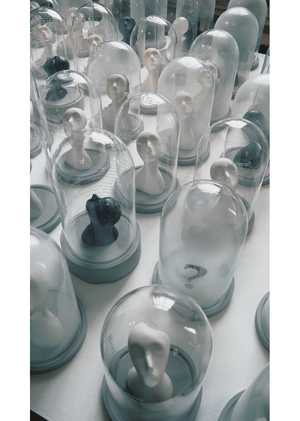 Installation "Behind the glass"