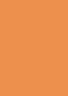 Flesh Tint&nbsp;3
