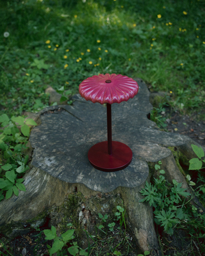 Ruby Bonnet
