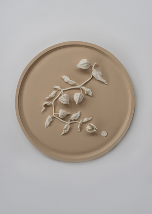 Фарфоровый горельеф из серии "Плоды жизни". Плоды Физалиса