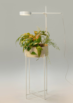Modular phytosystem for home gardening GoGrow