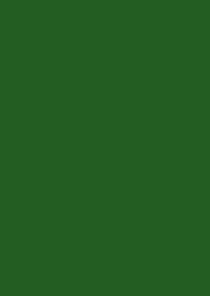 Prussian Green 