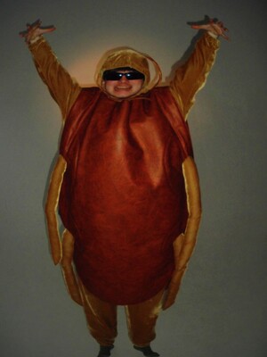 видеоперформанс «секта ВСЕМОГУЩЕГО ТАРАКАНА»