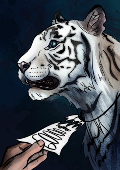 иллюстрации к&nbsp;статье «White Tigers: Conserving a&nbsp;lie»