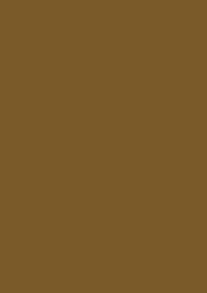 Raw Sienna
