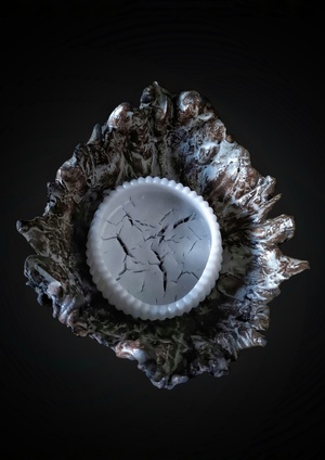 FOSSIL/Ископаемое