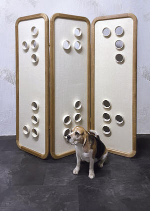 Ширма интерьерная