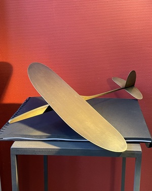 Планер «Model 1» из&nbsp;серии «Aeroplanes».