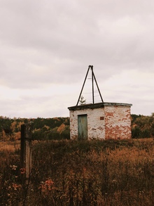 Гнездо