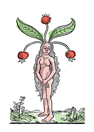 Michael Marder. Plant Thinking