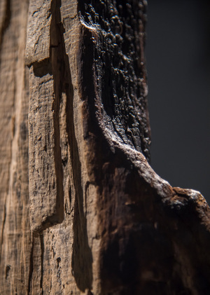 "Deadlands" exhibition