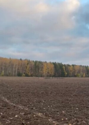 Яма в поле. Рассказ