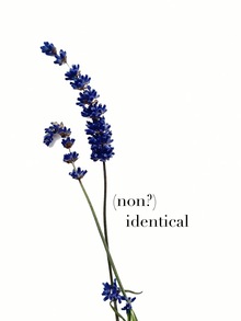(non?) identical (non?) identical
