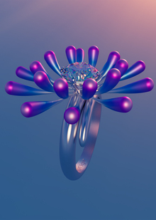 Sea Anemone flower