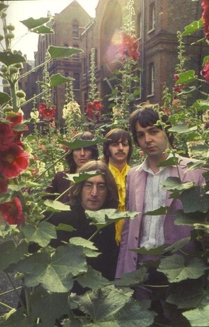 Эволюция визуальных образов группы «The Beatles»