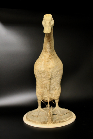 RUNNING DUCK