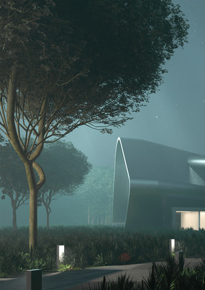 Проект-презентация собственного стартапа по Приклодным Нейросетям.