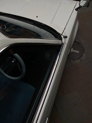 Проект Октябрь