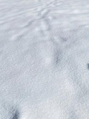 Проект Октябрь