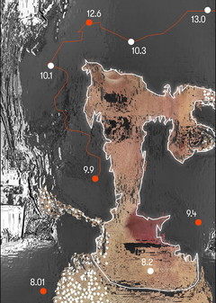 Исследовательский центр "QUALIA"